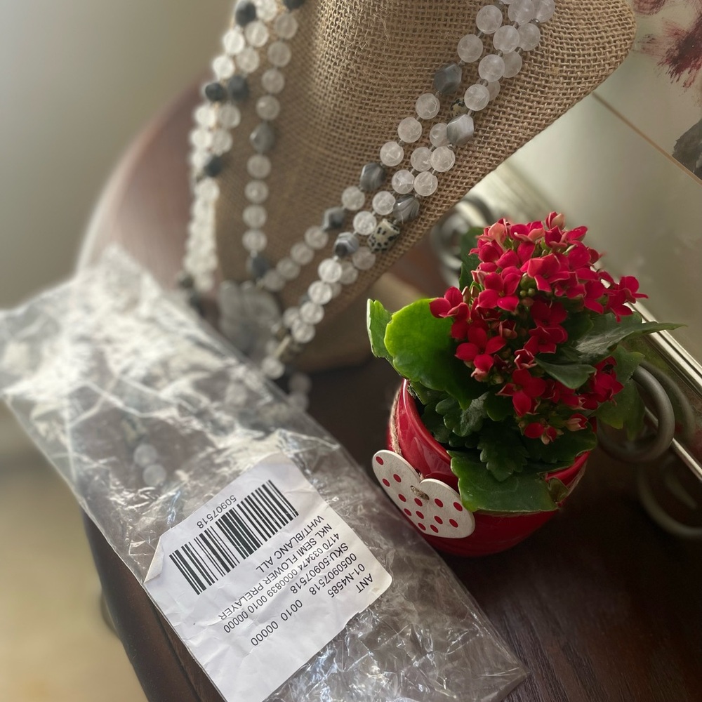 Elegant Anthropology Silver Beaded Necklace - Picture 5 of 5